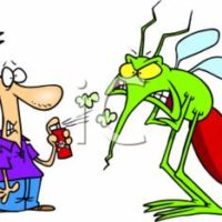 The Mosquito