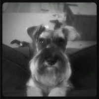 HAIRCUT!!